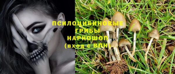 кристаллы Коряжма