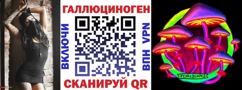 дарк нет Telegram  Андреаполь  Галлюциногенные грибы Cubensis 
